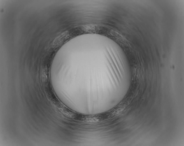 X0000071820702200607211737