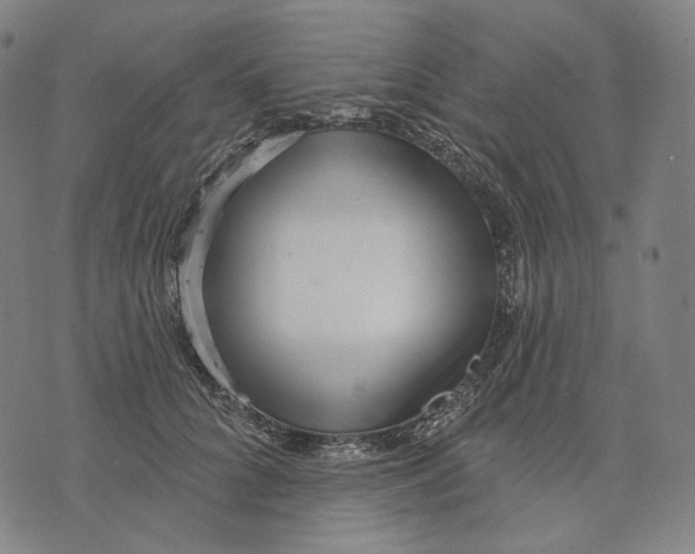 X0000071820704200607211737