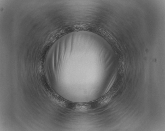 X0000071820706200607211737