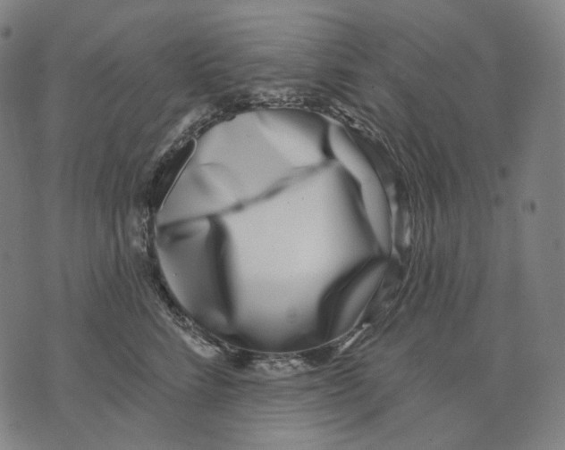 X0000071820712200607211737