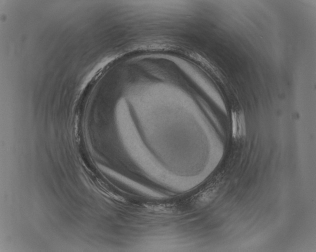X0000071820723200607211736