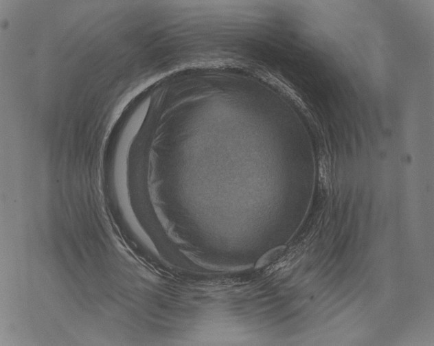 X0000071820724200607211736