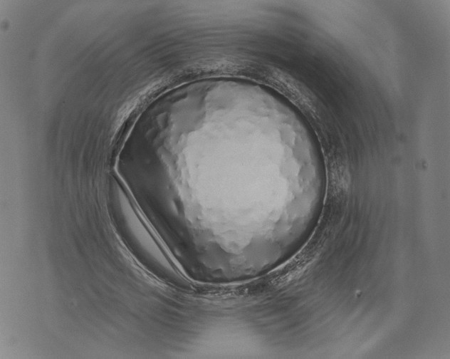 X0000071820725200607211736