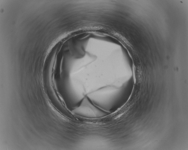 X0000071820726200607211736