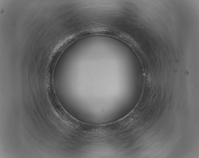 X0000071820732200607211736