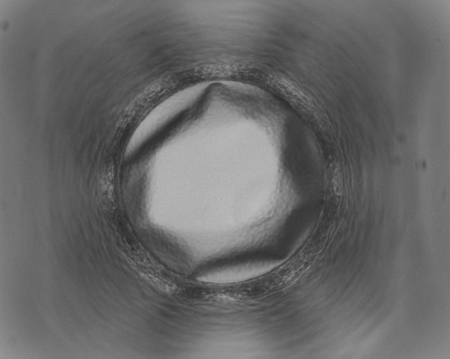 X0000071820737200607211736