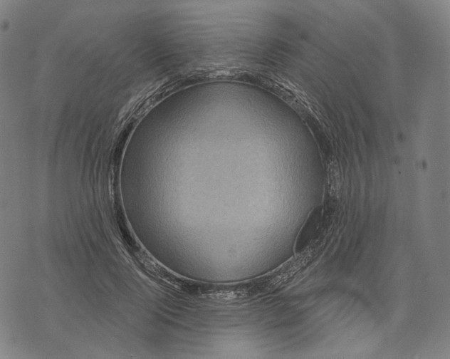 X0000071820740200607211736