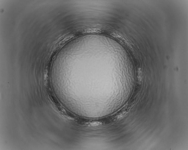 X0000071820741200607211736