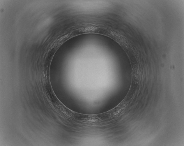 X0000071820743200607211736