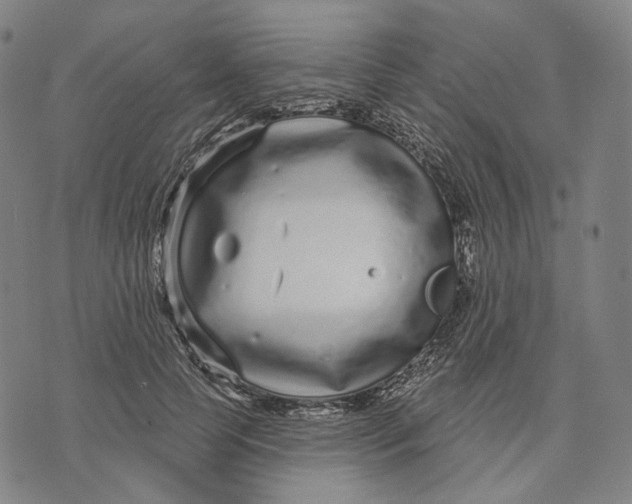 X0000071820745200607211736