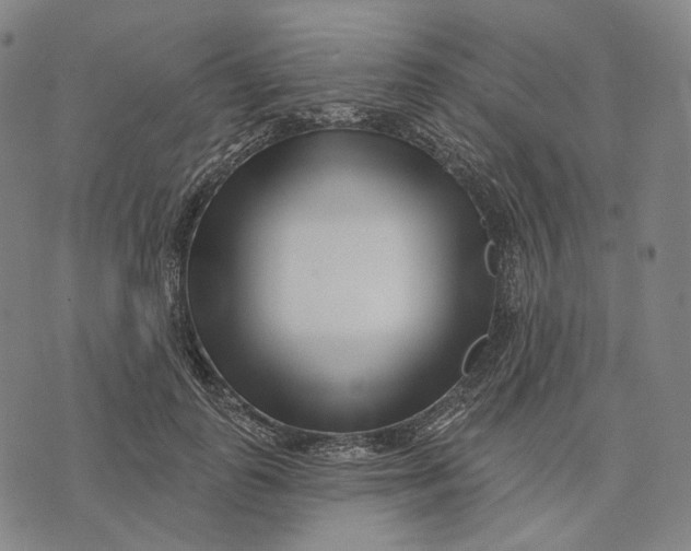 X0000071820747200607211736