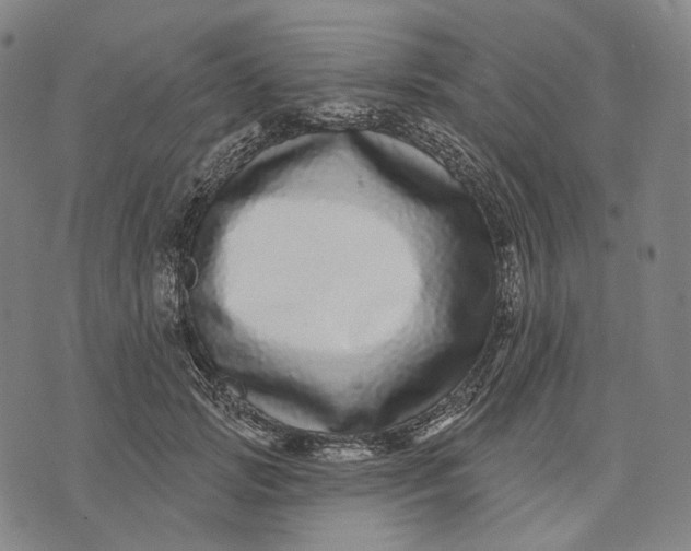 X0000071820749200607211736