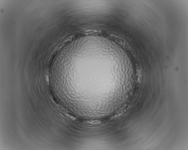X0000071820753200607211736