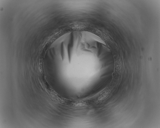 X0000071820755200607211736