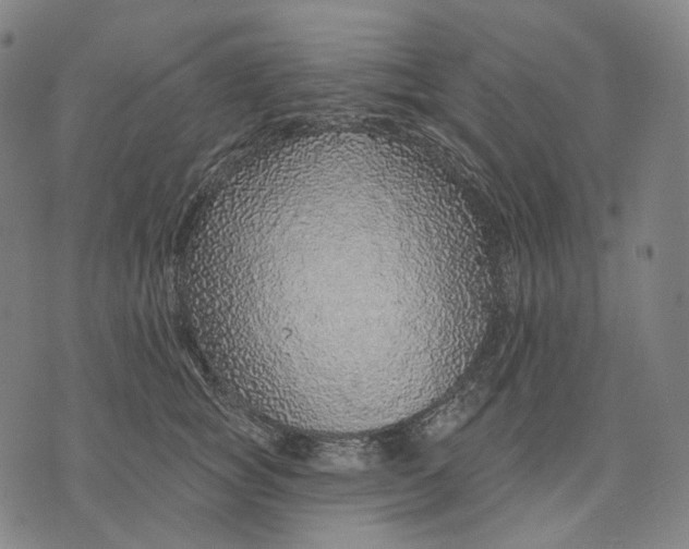 X0000071820757200607211736