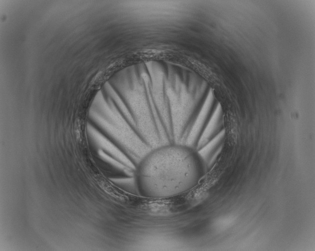 X0000071820758200607211736