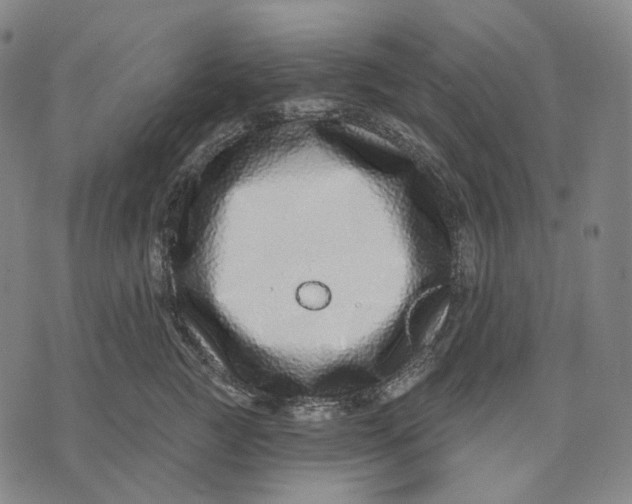 X0000071820761200607211737