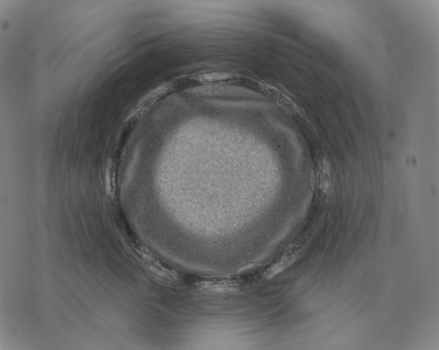 X0000071820763200607211737