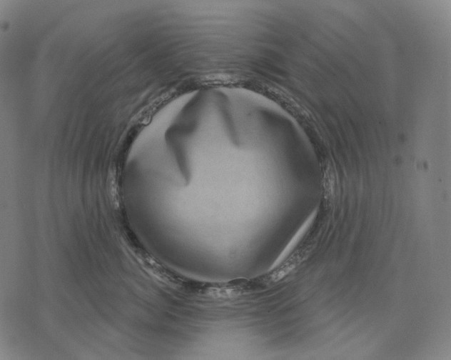 X0000071820764200607211737