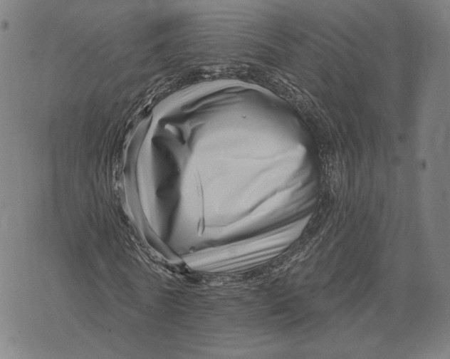 X0000071820770200607211736