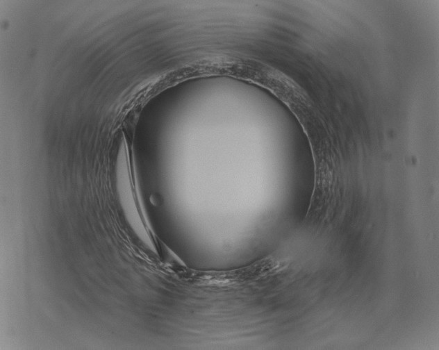 X0000071820773200607211736