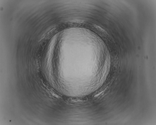 X0000071820774200607211736