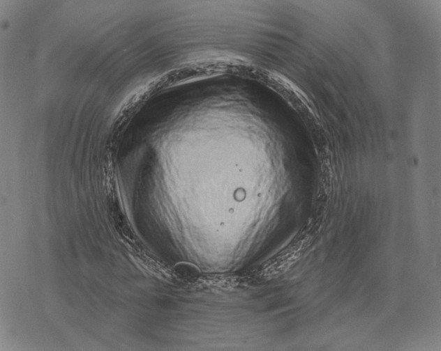 X0000071820775200607211736