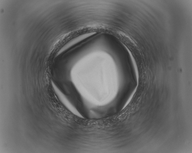X0000071820776200607211736