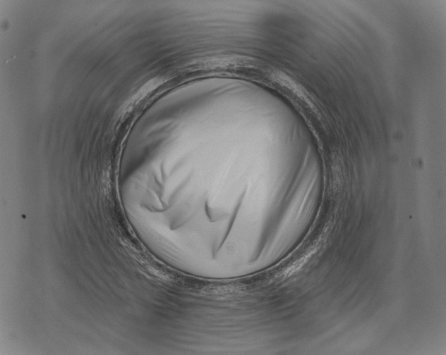 X0000071820778200607211736
