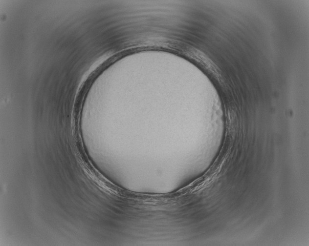 X0000071820780200607211736