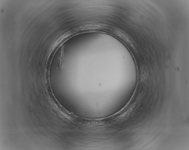 X0000071820786200607211736