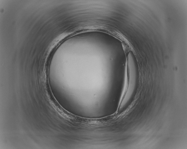 X0000071820787200607211736