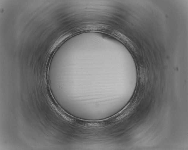X0000071820794200607211735