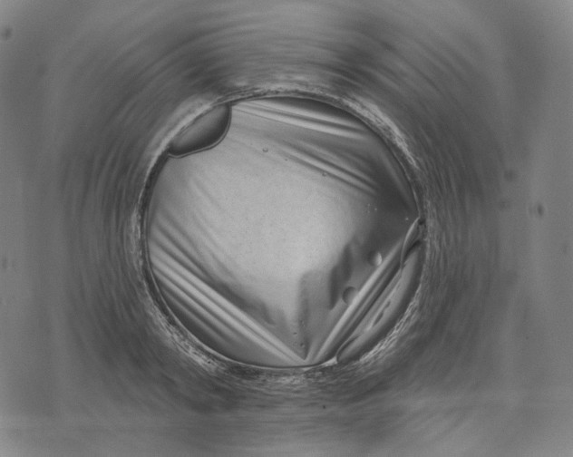 X0000071820798200607211735