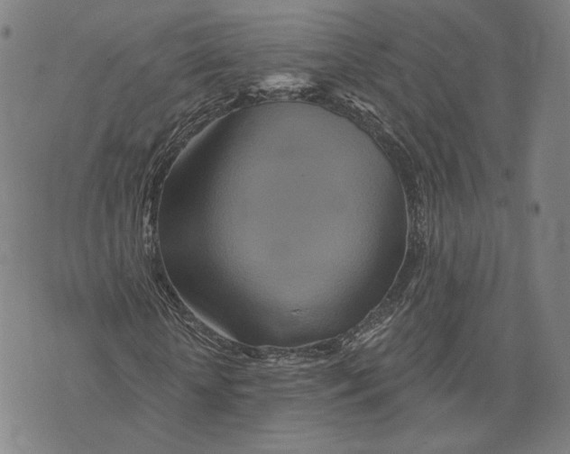 X0000071820818200607211734