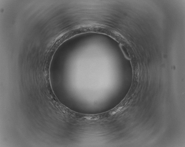 X0000071820822200607211734