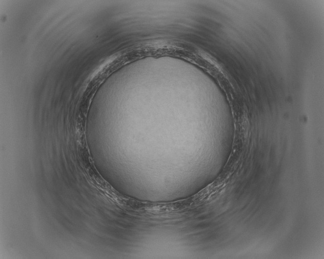 X0000071820823200607211734