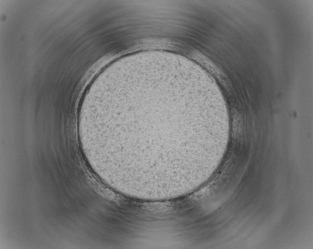 X0000071820836200607211735