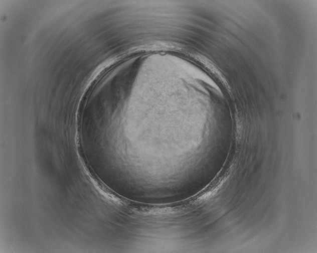 X0000071820845200607211735