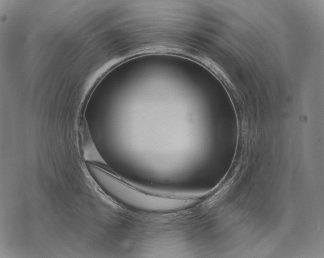 X0000071820854200607211735