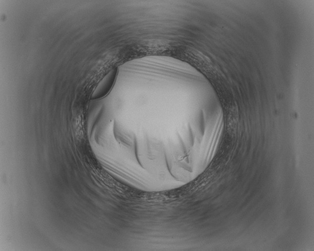 X0000071820866200607211734