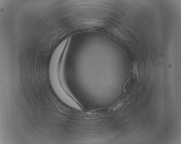 X0000071820868200607211734