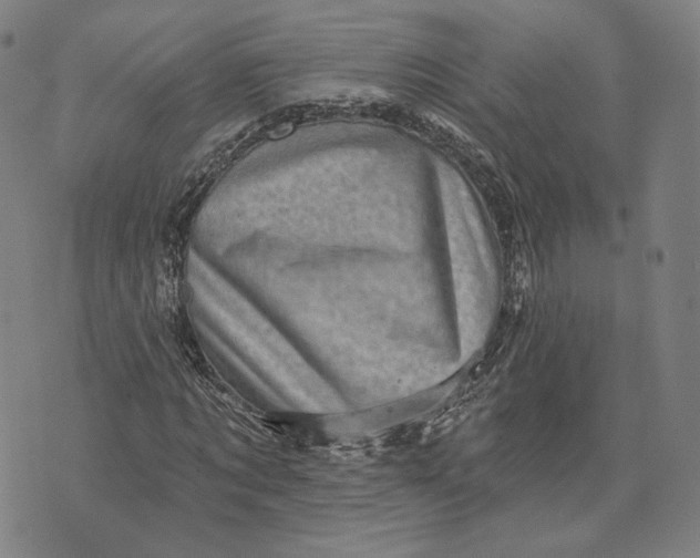 X0000071820869200607211734