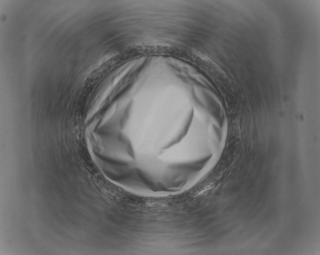 X0000071820870200607211734