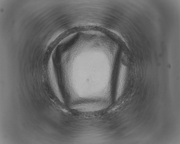 X0000071820871200607211734