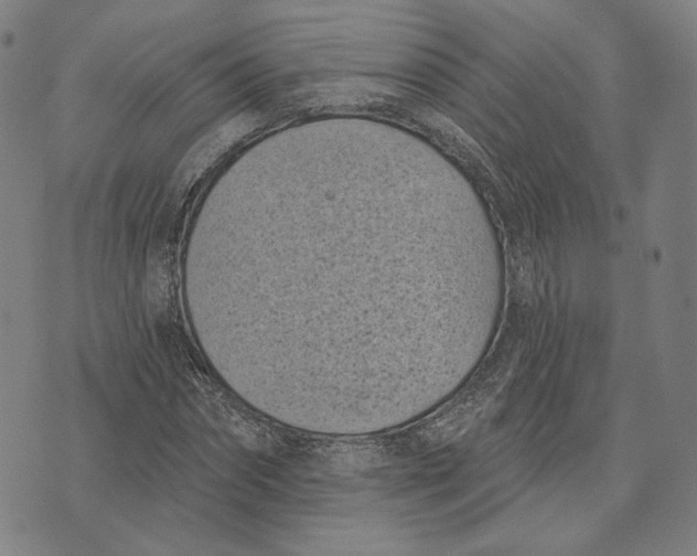 X0000071820874200607211734