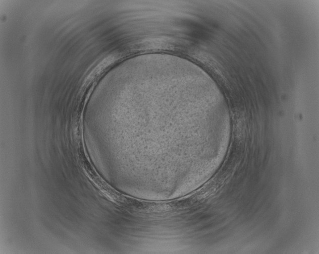 X0000071820882200607211734