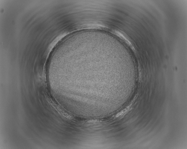 X0000071820883200607211734