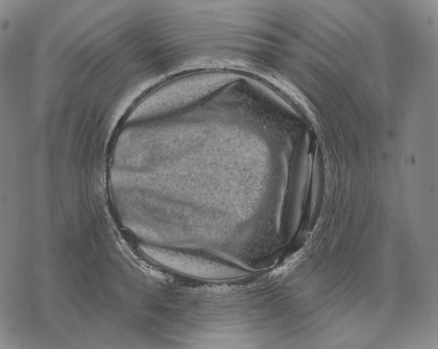 X0000071820896200607211734