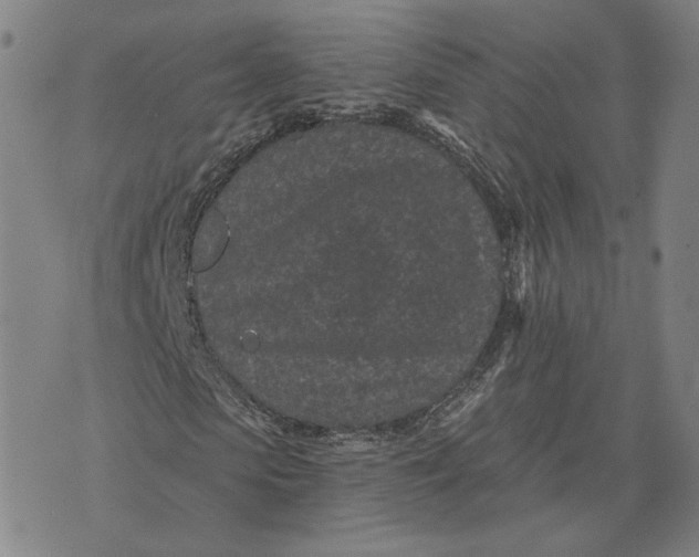 X0000071820913200607211733